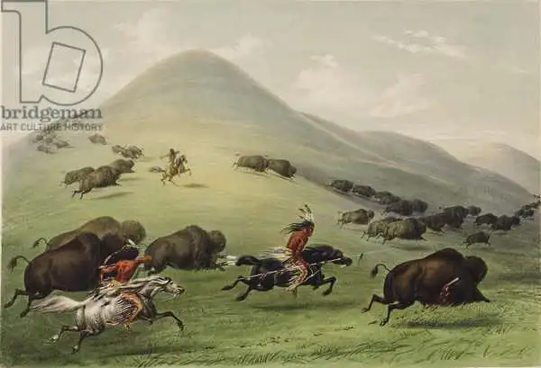 Catlin, George: The Buffalo Hunt
