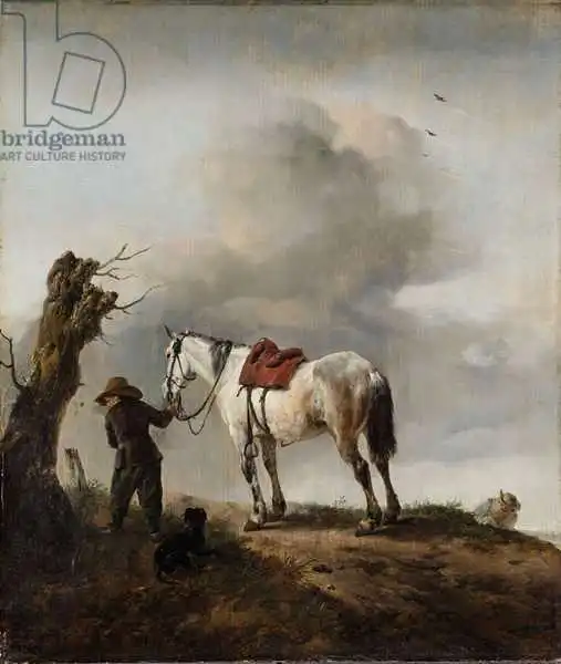 Wouwerman, Philips: Grey Horse