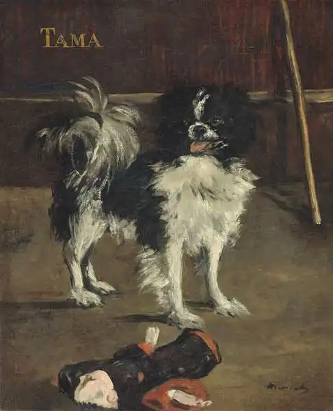 Manet, Edouard: Tama, the Japanese Dog