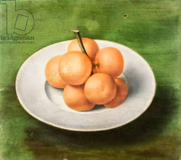 Unknown: Nature morte avec des oranges