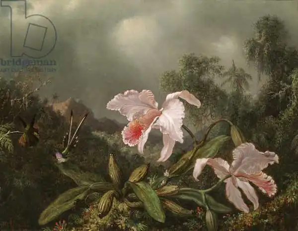 Heade, Martin Johnson: Dschungelorchideen und Kolibris