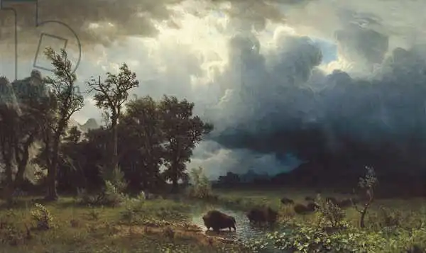 Bierstadt, Albert: Buffalo Trail: The Impending Storm