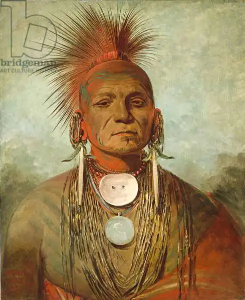 Catlin, George: See-non-ty-a, an Iowa Medicine Man, 1844-45