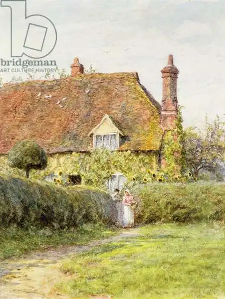 Allingham, Helen: Sunflower Cottage