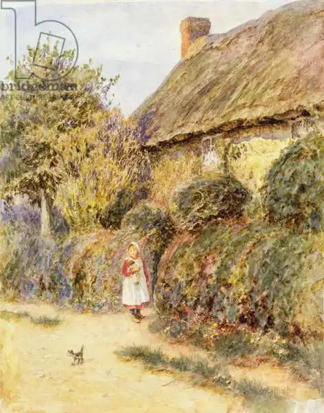 Allingham, Helen: Straying