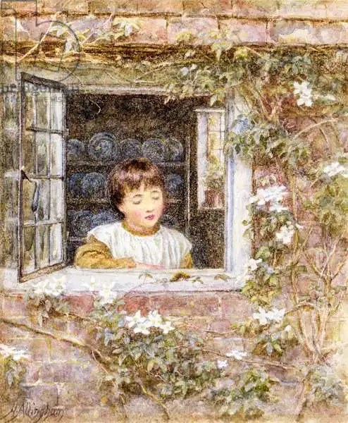 Allingham, Helen: Caterpillar