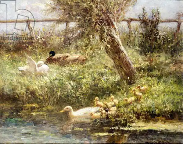Artz, David Adolph Constant: Ducks and ducklings