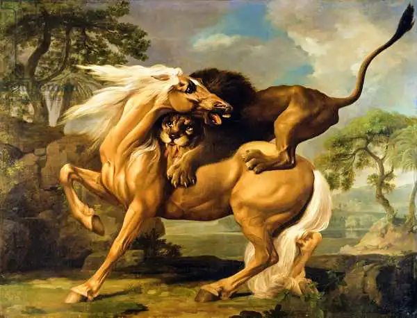 Stubbs, George: Un lion attaquant un cheval