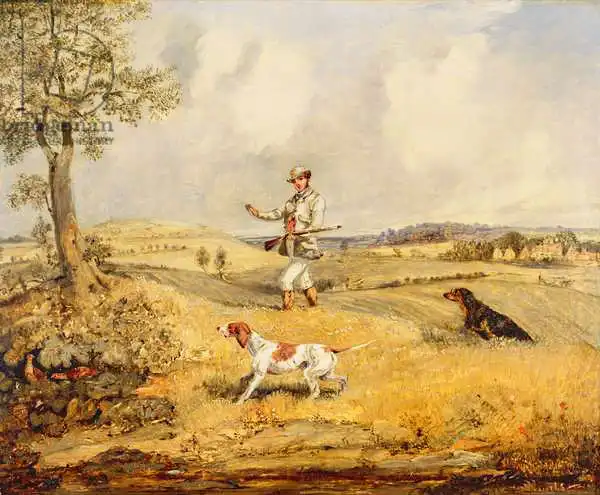 Alken, Henry Thomas: Partridge Shooting