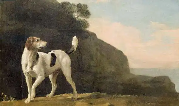Stubbs, George: Un renard