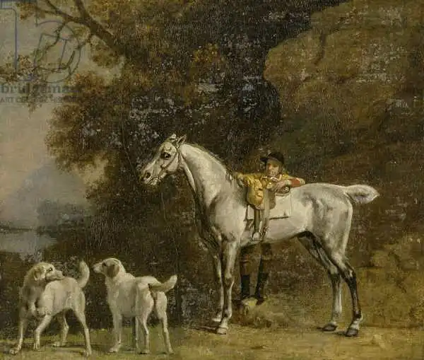Stubbs, George: Huntsman avec un chasseur gris et deux Foxhounds: Détails de la photo de Goodwood 