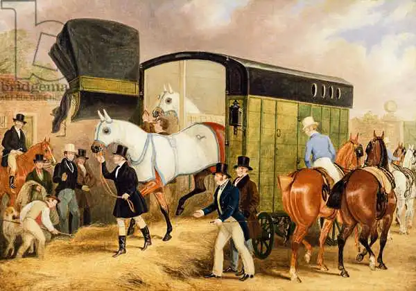 Pollard, James: Les animaux de compagnie Derby: l