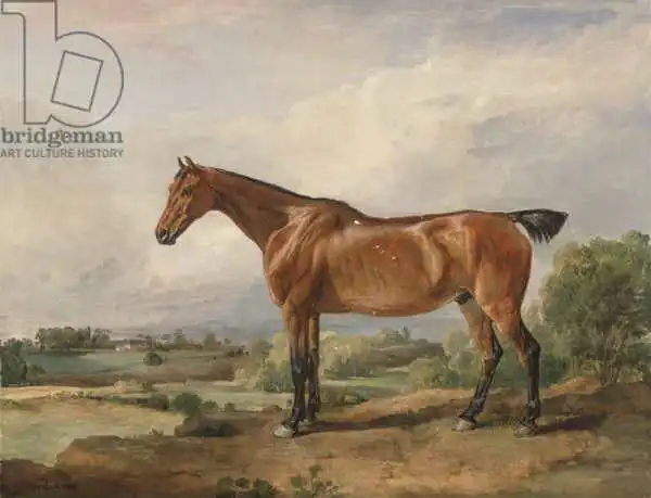Ward, James: Hunter in a Landscape