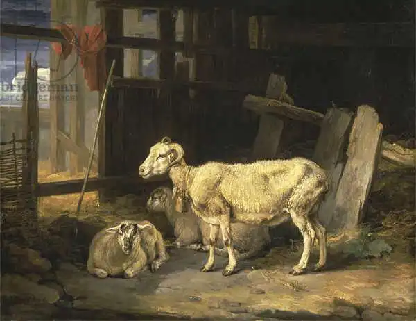 Ward, James: Heath Ewe and Lambs