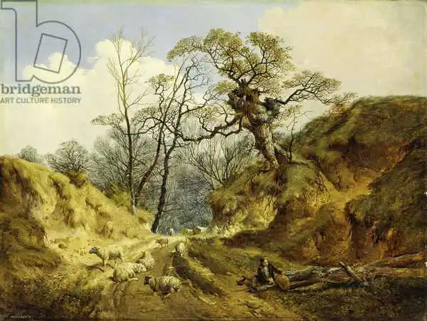 Ladbrooke, John Berney: Crown Point, Whitlingham, près de Norwich