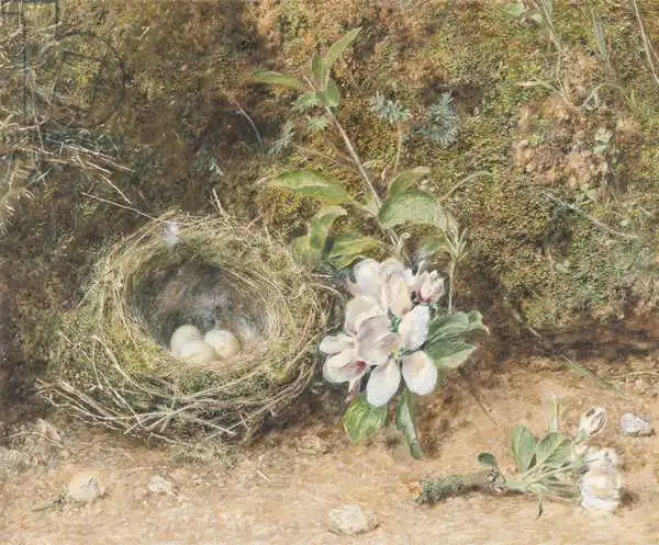 Hunt, William Henry: Bird