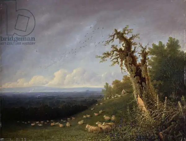 Turner, William: Berger sur une colline