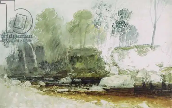 Turner, William: Sur le washburn: une étude