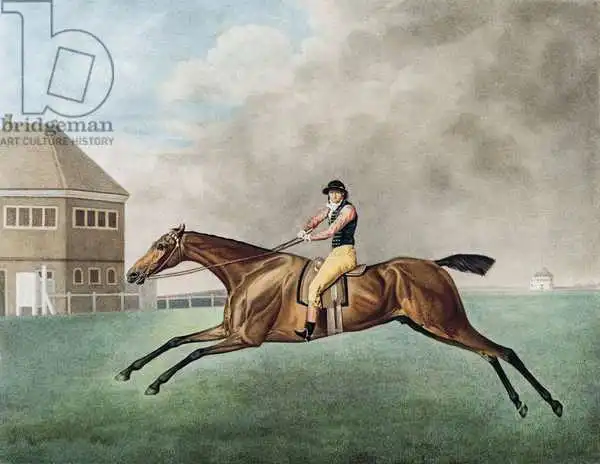 Stubbs, George: Baronnet