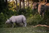 Stranak, Pavol: zvláštní setkání