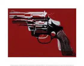 Warhol, Andy: Zbraně