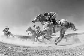 Chapman, Lee Sharon: Birdsville v prachu