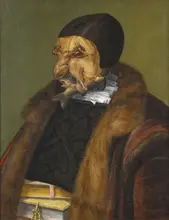 Arcimboldo, Giuseppe: Lawyer