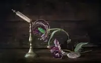 Bonadio, Heather: Zátiší se Scarabem