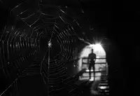 Toniolo, Giorgio: pavoučí muž