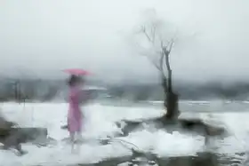 Zhang, Libby: Deštivý den
