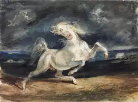 Delacroix, Eugene: Vyděšený kůň