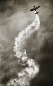 Reinders, Riekus: Letecká DNA