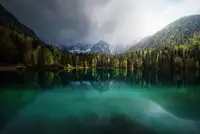 Miguel, Pablo Juan: Menta.