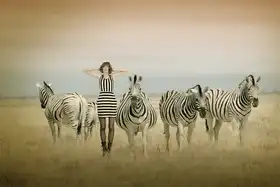 Diepenbroek, von Christine: Afrika I
