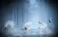 Berg, van Peet: Signets Labutí píseň