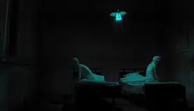 Joosten, Lus: zelený pokoj