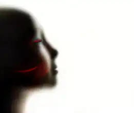 Westum, Heidi: Vůně červené