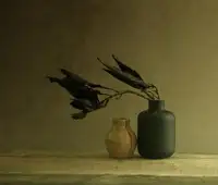 Halaby, Margaret: Temná hmota