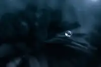 Pamungkas, Edy: Rosa ve tmě