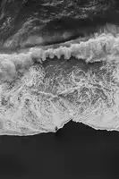 Jerrywangqian: Člověk vs příroda