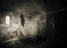 Gerber, Charlaine: Ale řekl,vrať se,vrať se do světa...