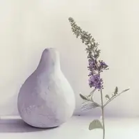 Flour, Piet: letní šeřík