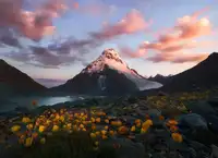 卡卡kaka: 花海中的小珠峰