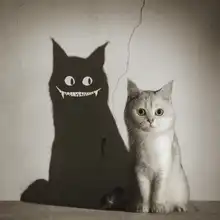 F., Terry: Stín se na vás usmívá