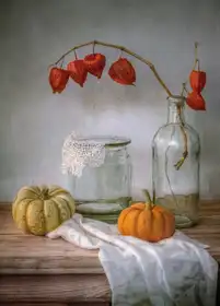 Disher, Mandy: Zátiší s Physalis a dýní