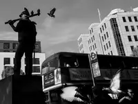 Guo, Leah: Ptáci míru