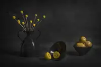 Jacobs, Lydia: Zlaté kiwi