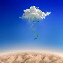 Eslamzadeh, Milad: Zelený déšť