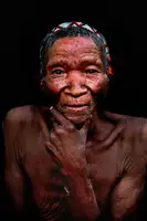 DAmico, Giuseppe: Křovák