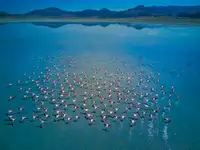 musakeskin: Jezero Yarışlı